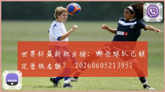 世界杯最新积分榜：哪些球队已锁定晋级名额？_20260605213951