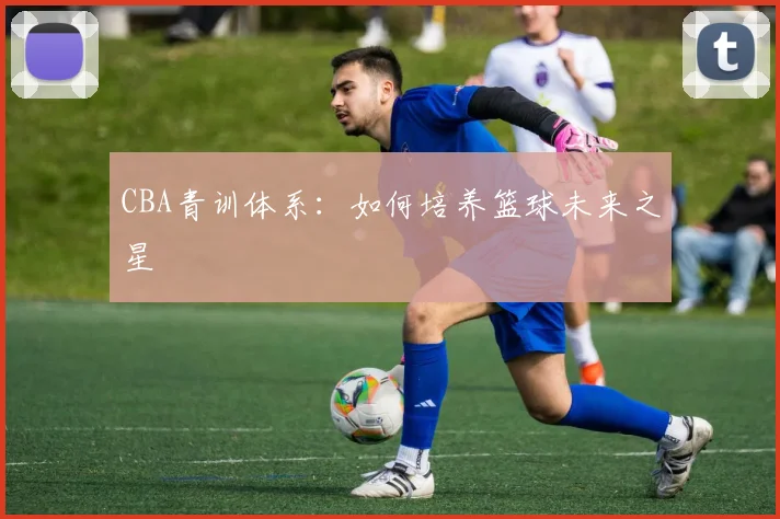 CBA青训体系：如何培养篮球未来之星