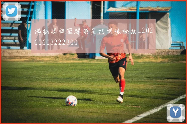 揭秘顶级篮球明星的训练秘诀_20260603222300