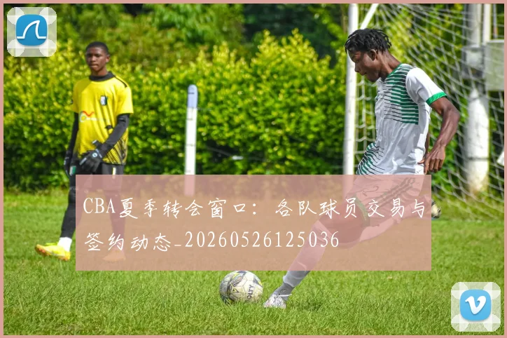 CBA夏季转会窗口:各队球员交易与签约动态_20260526125036